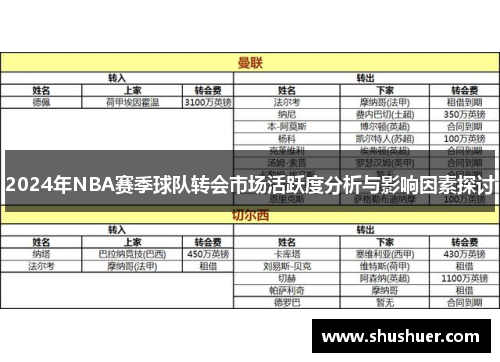 2024年NBA赛季球队转会市场活跃度分析与影响因素探讨