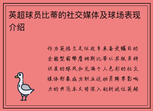英超球员比蒂的社交媒体及球场表现介绍